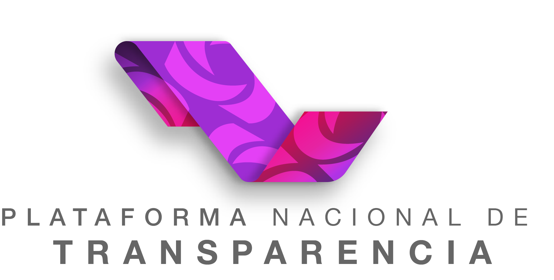 Plataforma nacional de transparencia