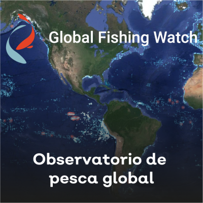 Observatorio de pesca global