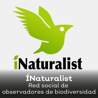 nos-gustó-inaturalist