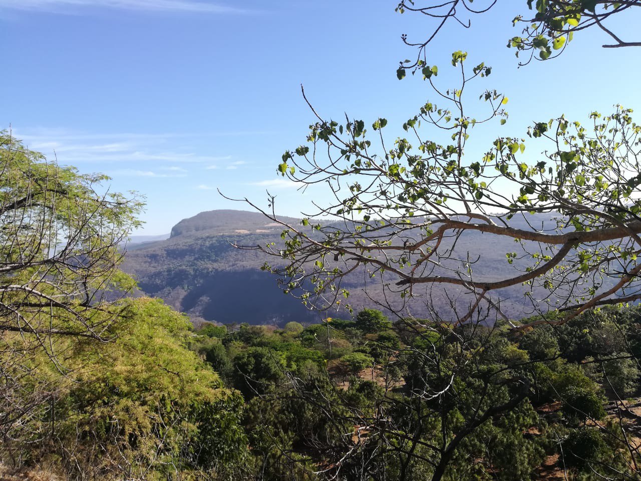 Los Bosques Tropicales De Jalisco Iieg Strategos 9304