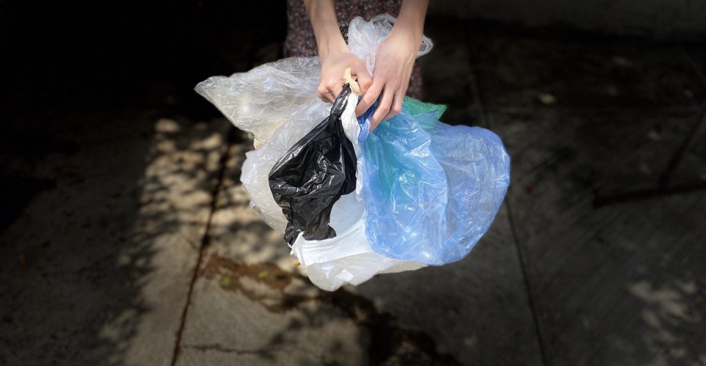 El uso de las bolsas de plástico en Jalisco, IIEG