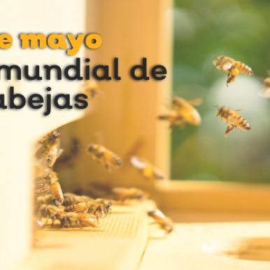 20 de mayo, día mundial de las abejas