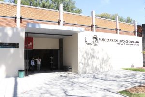 Museo de paleontología
